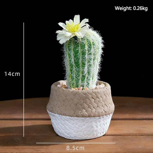 Office DIY Home Plastic Succulents Artificial Cactus Fake Plant Floral Decor